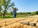 Piemonte, allarme agricoltura: il Piano qualità dell'aria mette a rischio migliaia di aziende Piemonte, allarme agricoltura: il Piano qualità dell'aria mette a rischio migliaia di aziende