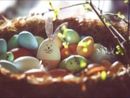 Un uovo di Pasqua contro il diabete Un uovo di Pasqua contro il diabete