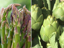 Asparagi Saraceni di Vinchio e Carciofi della Valtiglione