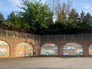 Inaugurato a Camerano Casasco il murales "Il delfino di Camerano": un ponte tra arte e paleontologia