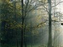 Il Parco di Rocchetta Il Parco di Rocchetta