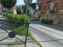 Viabilità ad Asti: in viale Partigiani una siepe impedisce la visibilità a chi si immette dalle strade laterali