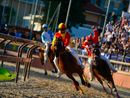 La vittoria di Legnarello nel 2024 con Antonio Siri ( Le foto dell'articolo per gentile concessione di LegnanoNews)