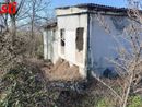 La colonia felina della Casa dell'Avvocato (Merphefoto)