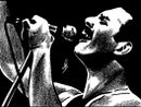Il ritratto di Freddy Mercury di Barruscotto