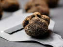 Tartufo nero dell'Astigiano, presto in fiera