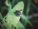 Foto di Richie Bettencourt - tamite Unsplash Foto di Richie Bettencourt - tamite Unsplash