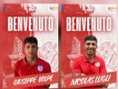 Volpe e Lugli Volpe e Lugli