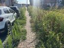 Le foto inviate dal nostro lettore Le foto inviate dal nostro lettore