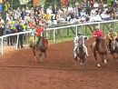 Palio di Piancastagnaio, Voltaia torna al trionfo dopo sette anni Palio di Piancastagnaio, Voltaia torna al trionfo dopo sette anni