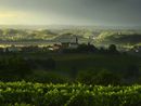 Estate nell'Astigiano ripresa dal grande Enzo Isaia Estate nell'Astigiano ripresa dal grande Enzo Isaia