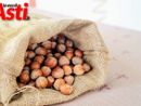Fiera della Nocciola di Castagnole delle Lanze (ph.MerfePhoto)
