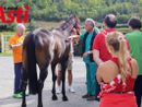 Il cavallo di Moncalvo (Merphefoto) Il cavallo di Moncalvo (Merphefoto)
