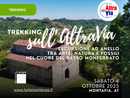 Trekking ad anello sull'AltraVia: un'escursione di 21km tra natura e storia nel cuore dell'Astigiano Trekking ad anello sull'AltraVia: un'escursione di 21km tra natura e storia nel cuore dell'Astigiano