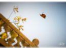 Ph Efrem Zanchettin - Merfephoto Ph Efrem Zanchettin - Merfephoto
