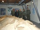 Al Museo Paleontologico di Asti un pomeriggio tra fossili, gioco e avventura