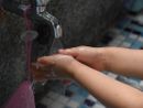 Educazione all'igiene nelle scuole piemontesi: lo studio registra un calo del 39% delle assenze Educazione all'igiene nelle scuole piemontesi: lo studio registra un calo del 39% delle assenze