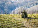 Vola il turismo in Piemonte: nei primi sei mesi dell'anno aumentano gli arrivi e metà dei pernottamenti sono stranieri