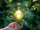 Gli agricoltori piemontesi? Tra i più 'aperti' alla transizione ecologica