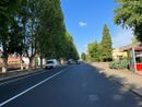 Viale Pilone