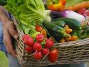 In Italia boom dell'agricoltura bio, ma attenzione alle frodi