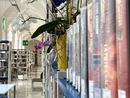 Un particolare scorcio dei saloni della Biblioteca Un particolare scorcio dei saloni della Biblioteca