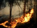 Al via la campagna estiva di Anas per la prevenzione degli incendi