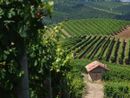 I colori del Monferrato accendono la domenica di Golosaria: arte, gusto e paesaggio protagonisti in 37 borghi