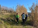 Nuovi appuntamenti con le camminate del Monferrato Nordic Walking