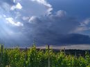 Astigiano e Langhe si preparano a nuovi rovesci e a un calo termico
