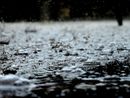 La primavera piovosa mette a dura prova l'agricoltura, con ingenti danni e numerosi disagi per diverse colture
