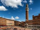 Siena, dopo l'assegnazione Montone e Pantera tra i favoriti [VIDEO]
