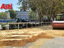 L'allestimento del catino per il Palio 2023 (Merphefoto)
