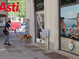 Galleria fotografica MerfePhoto