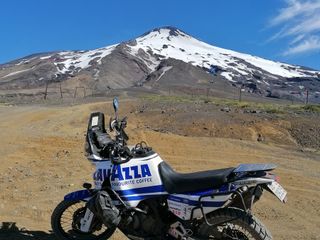 Mauro