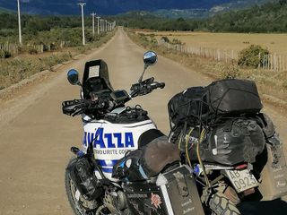 Mauro