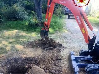 Alcune immagini relative il salvataggio della cagnolina