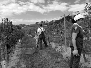 Il lavoro a Rocchetta secondo Maria Vittoria Backhaus