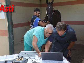 Le immagini della prima mattina di visite veterinarie (Merphefoto)