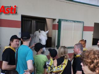 Le immagini della prima mattina di visite veterinarie (Merphefoto)