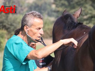 Le immagini della prima mattina di visite veterinarie (Merphefoto)