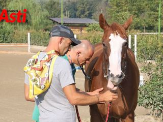 Le immagini della prima mattina di visite veterinarie (Merphefoto)