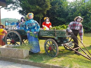 Alcune immagini dei babaci di Maranzana Alcune immagini dei babaci di Maranzana