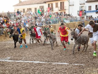 Immagine relativa una precedente edizione della manifestazione Immagine relativa una precedente edizione della manifestazione