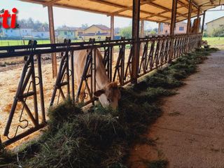 Alcune immagini dell'incontro all'azienda agricola Viarengo