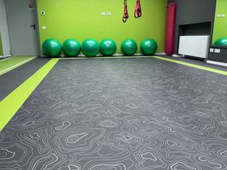 La palestra