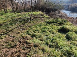 Immagini dei lavori in corso al parco Lungo Borbore