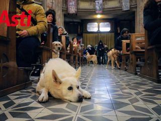 Galleria fotografica a cura di Efrem Zanchettin Galleria fotografica a cura di Efrem Zanchettin