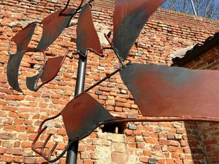 Particolare della tigre dai denti a sciabola Particolare della tigre dai denti a sciabola