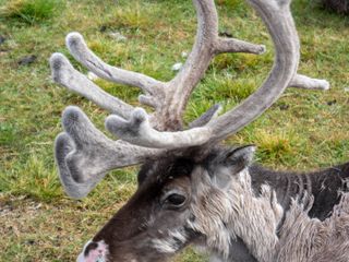 Alcune delle immagini che verranno proiettate giovedì sera